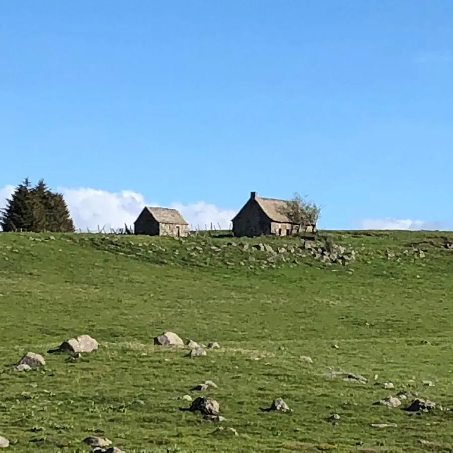 Holiday home Maison Foret D'Aubrac , Au Coeur De La Nature Prades-d'Aubrac France